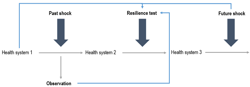 Shocks-resilience-test