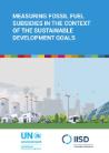 Measuring-FFS-SDGs-cover
