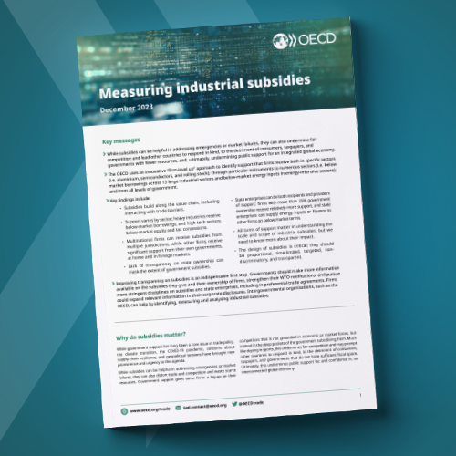 Measuring Industrial Subsidies 2024 Brochure cover