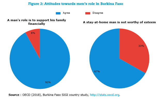 Attitudes towards men’s role in Burkina Faso