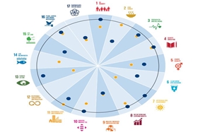 Measuring SDG web tool