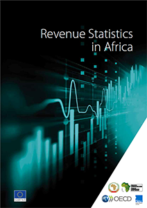 revenue statistics africa brochure