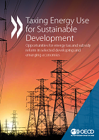 taxing energy use for sustainable development