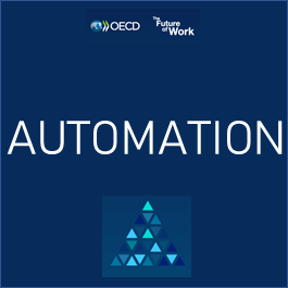 Thumbnail of the Automation Tool developed by the ELS Skills Team (265x265)
