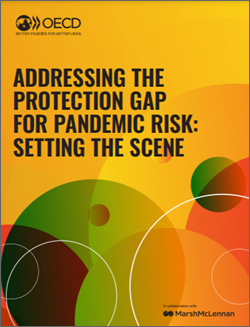 Pandemic-risk-setting the scene-bijou
