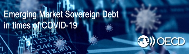 Banner Webinar Emerging Market Sovereign Debt 