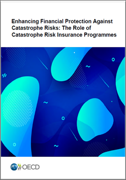 Enhancing financial protection against catastrophe risks- bijou 250x356