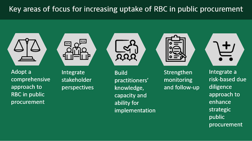 infographic - RBC and public procurement publication