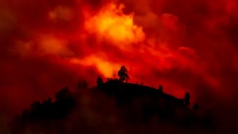 Shutterstock 1476127844 Hill with trees about to burn in red, orange wildfire TheVagabond V.Schaal