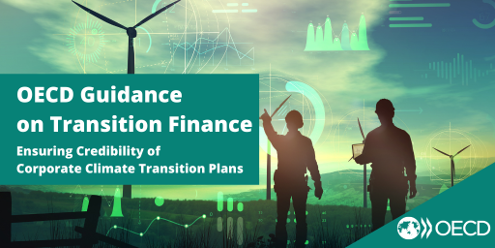 OECD Guidance on Transition Finance