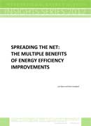 the Multiple Benefits of Energy Efficiency Improvements
