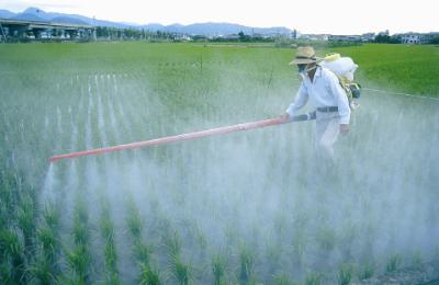 Man spraying pesticides with knapsack