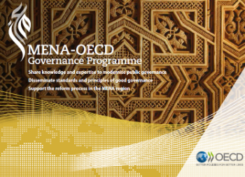 MENA Governance brochure