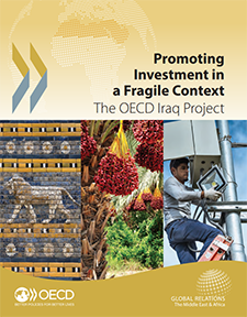 Project Insights: Promoting Investment in a Fragile Context (2016)