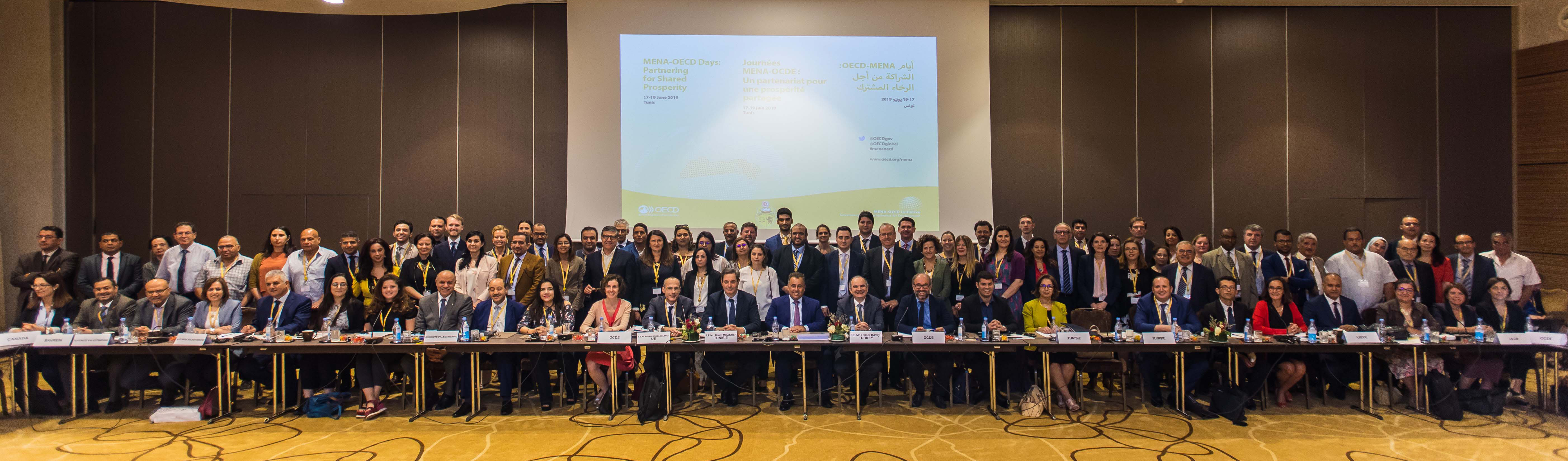 MENA-OECD Days Steering Group 2019
