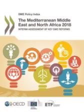 The Mediterranean Middle East and North Africa 2018: Interim Assessment of Key SME Reforms 